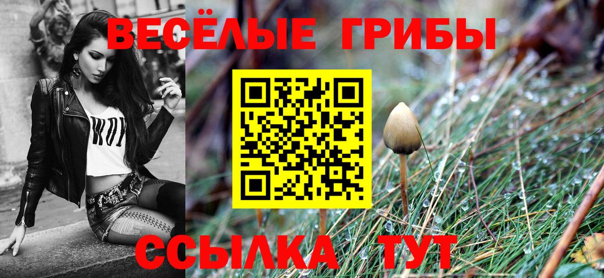 Магнитогорск  Псилоцибиновые грибы Psilocybine cubensis  наркошоп  Вход с VPN 